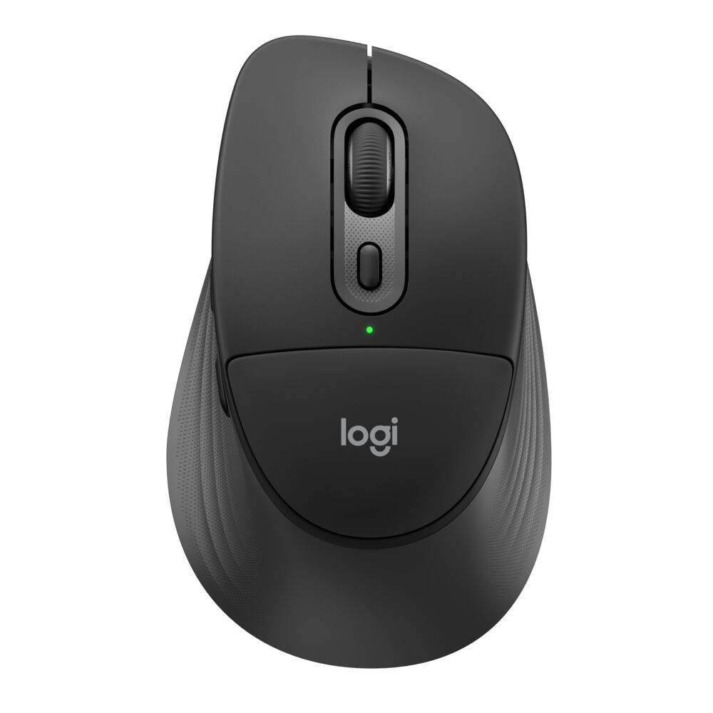 LOGITECH Wireless Mouse Comfort Plus M850 L For Business - Image 1